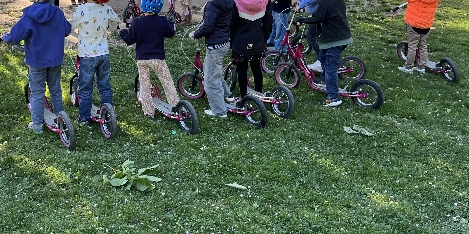 Rollermobil